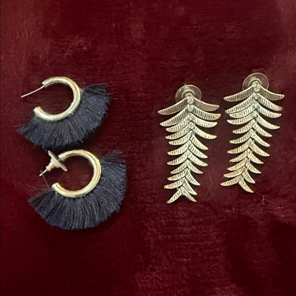Elegant silver and Black Earrings Set